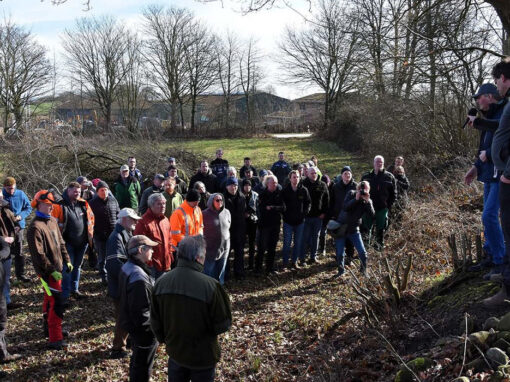 Gro&szlig;es Interesse an der Knickpflege