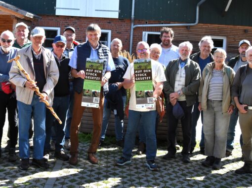 Positive Auswirkungen von Knicks f&uuml;r die Landwirtschaft